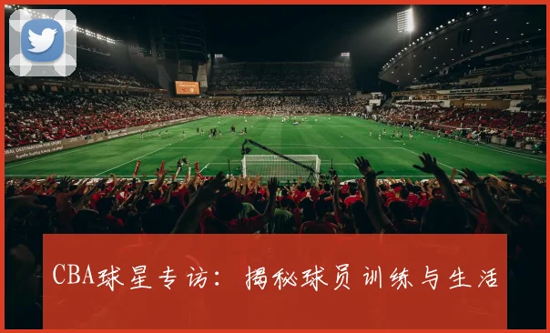 CBA球星专访：揭秘球员训练与生活